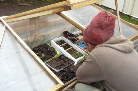 Avec un peu d'eau et beaucoup de patience ...